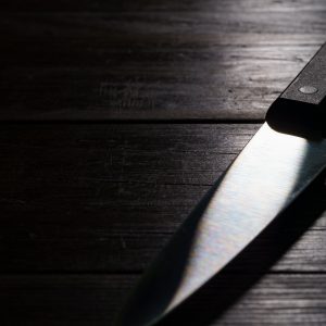 VX 10" Chef