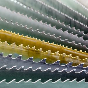 Scallop blade